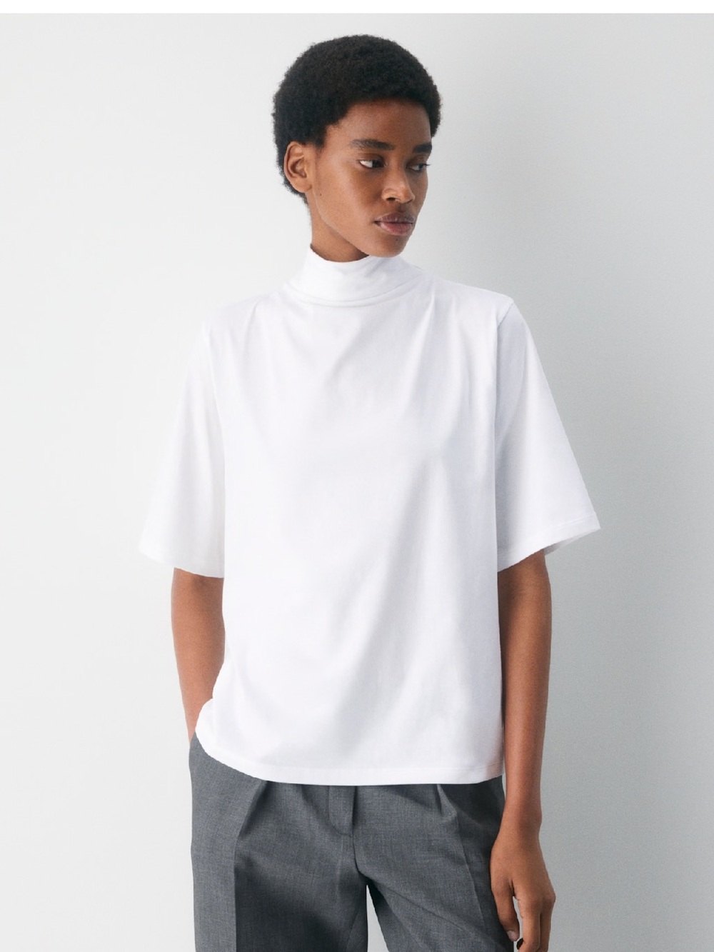 Aritzia Babaton Brampton Mockneck